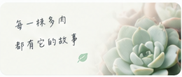 每一株多肉都有自己的故事
