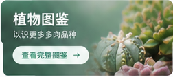 植物图鉴，认识更多多肉品种，查看完整图鉴